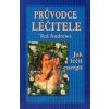 Průvodce léčitele, aneb, Jak léčit energií