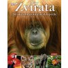 Zvířata Dětská obrazová encyklopedie (Stav Použité zboží - Běžné opotřebení)