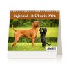 Kalendář Pejskové/Psíčkovia 2026 (Stav Nová)
