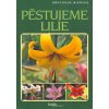 Pěstujeme lilie (Stav Nová - Mírně mechanicky požkozená)