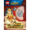 LEGO®DC Super Heroes: Kniha superhrdinů (Stav Nová)