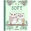 Mozaika - Omalovánky pro dospělé - Sovy (Stav Nová)