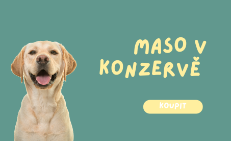 Maso v konzervě