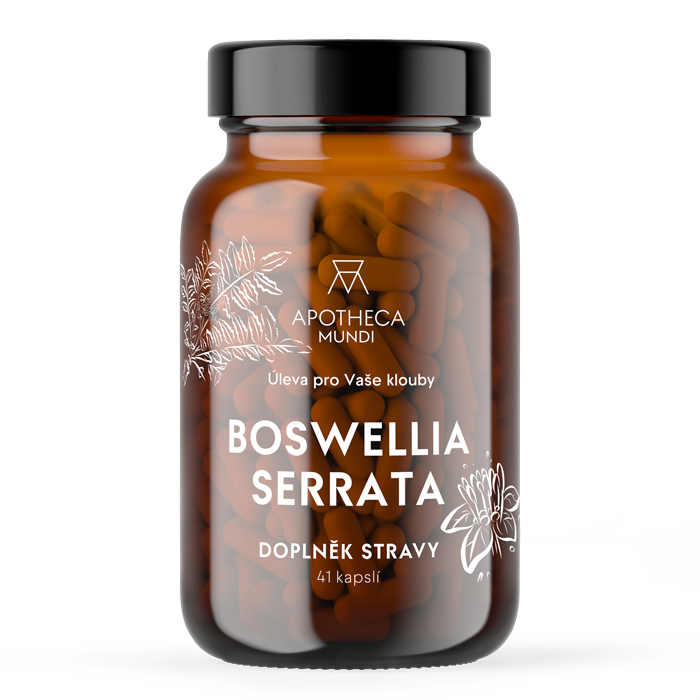 Apotheca Mundi Boswellia Serrata 41 kapslí