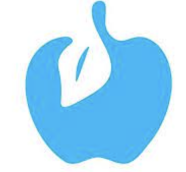 8 let na českém trhu