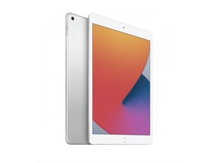iPad 7th WiFi Silver