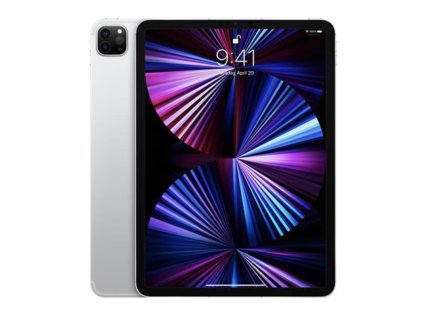 iPad Pro 11 2021 Silver
