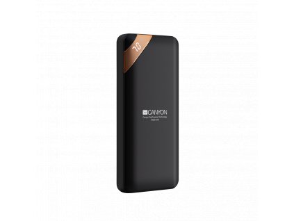 RS12385 CNE CPBP10B 01