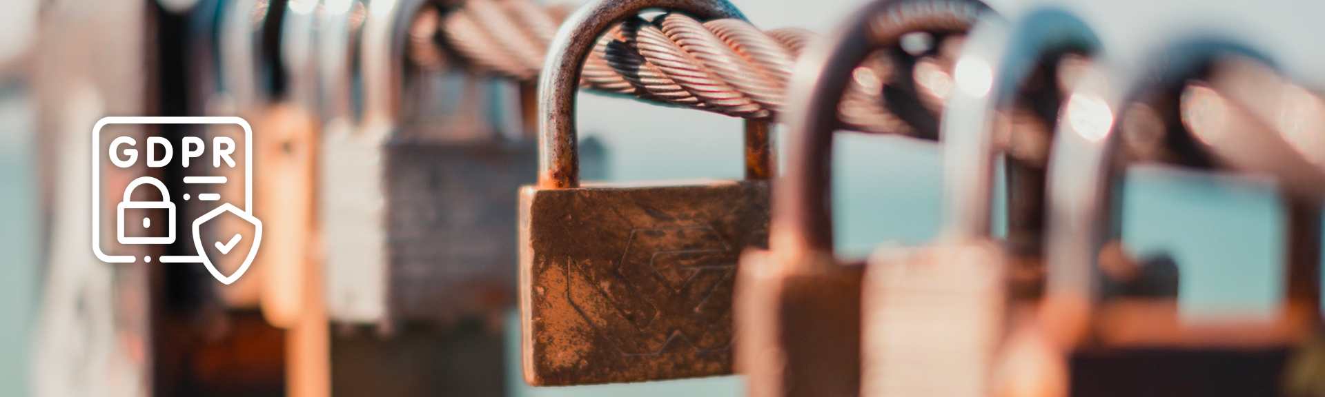 f61880b8877384-applegang-gdpr