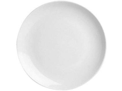 10195 aps basics flat plate 27cm