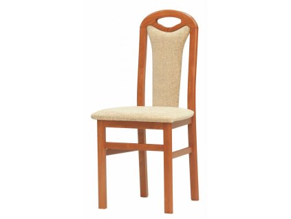 Jídelní židle AQ-0213