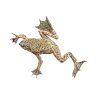 Hymenochirus spec