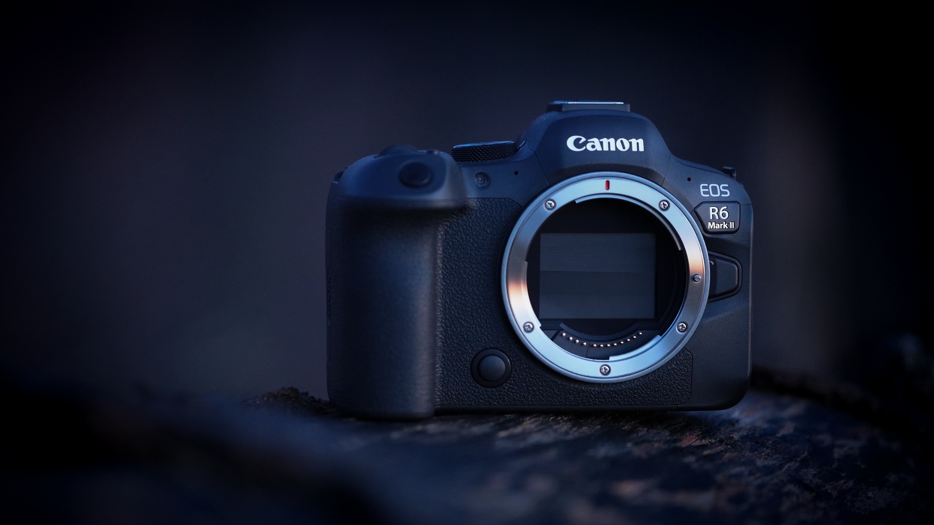 Canon EOS R6 mark II: Fotoaparát, na ktorý sa oplatí došetriť