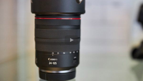 Canon RF 24-105 L IS USM