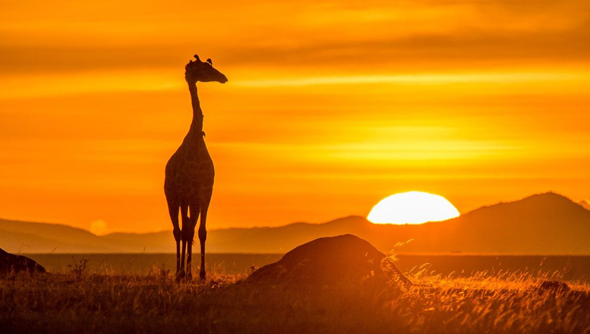 Fotograf National Geographicu Tomáš Hulík
