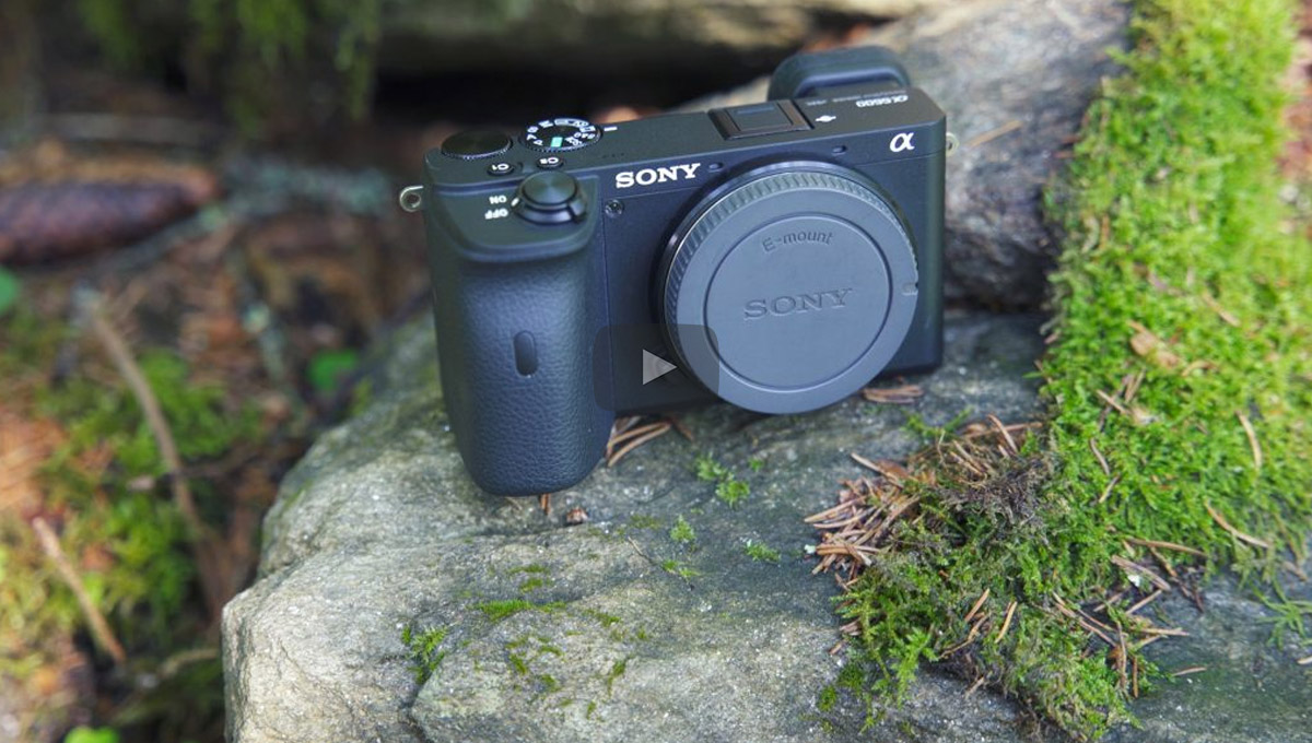 Sony Alpha A6600