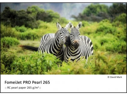 147180 a3 32 9 x 48 3cm 50 fomeijet pro pearl 265