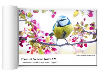 187292 111 8cm x 30 5 fomeijet premium lustre 170