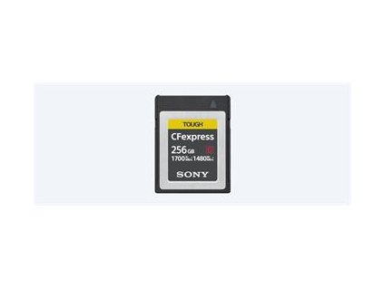 191648 sony cebg256 pametova karta rady ceb g 256gb