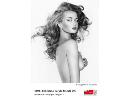 206176 a2 43 2 x 63 5cm 20 fomei collection baryta mono 290