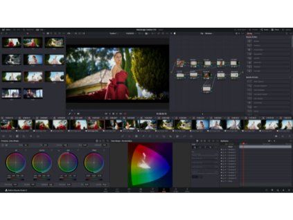 davinci resolve studio@2x
