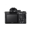 183128 4 sony alpha a7s ii telo
