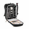 Lowepro Pro Trekker BP 350 AW II, Grey