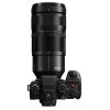 Panasonic Lumix S 100-500 mm f/5-7.1 OIS