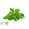 dezinfekcny aroma olej mint fresh