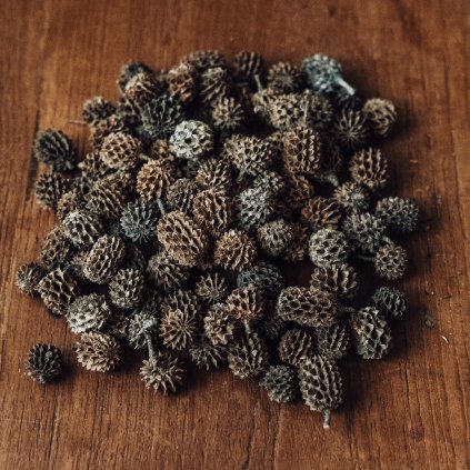 Casuarina 50g