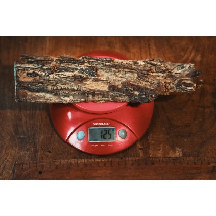 Kůra Terminalia Catappa 125g