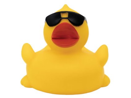 0004170 sunglasses duck 2500