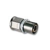 9761 image IVAR.PT 5613.ifresize 2000x2000