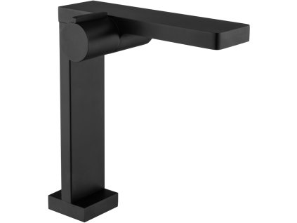 423604 12 cerano safira vysoka cerna 1