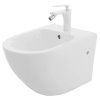 Sada WC misa + bidet CARTER WHITE, ZÁVESNÁ_2