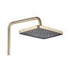 Sprchový set PREMIUM REA JOE Brush Gold_5