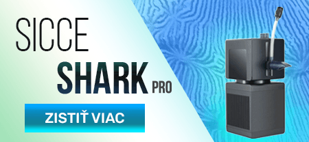 Sicce Shark PRO
