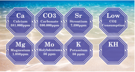 dvh-calcium-reactor-media_0.jpg_September-30-2020-146pm