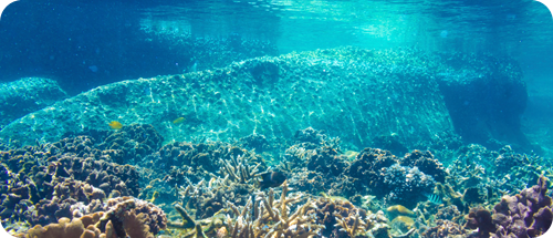 kessil ap700_Optical_img04