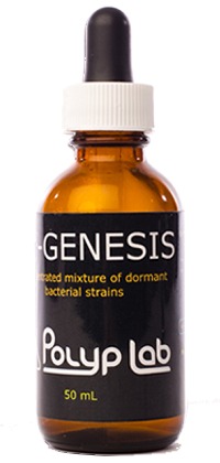 pl-genesis-50-ml