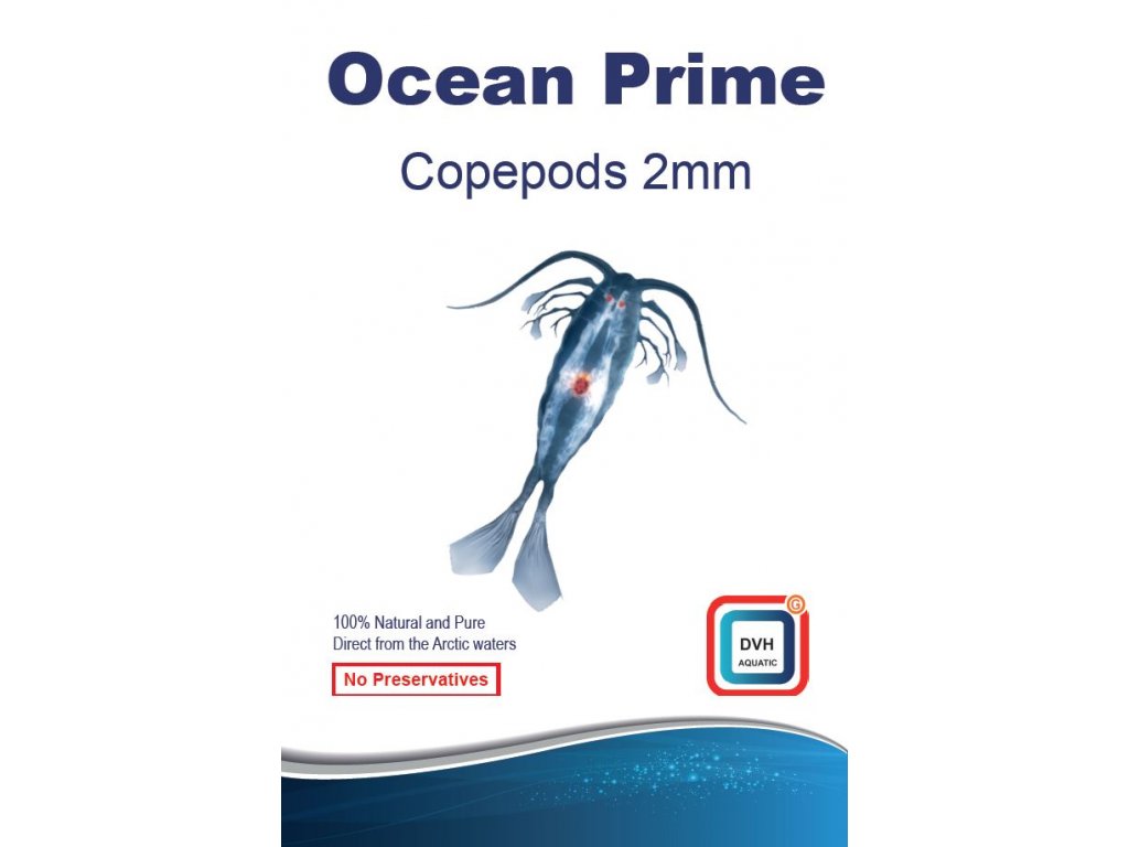 ocean prime 2mm