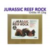 jurassic rock2