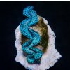 tridacna maxima ultra blue 12 cm o W001