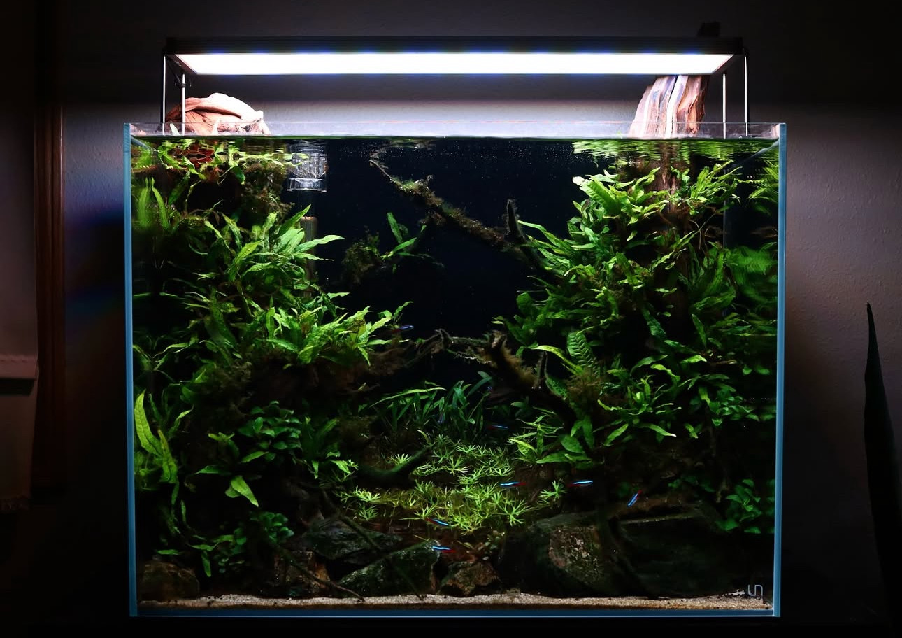 Výmena vody - koľko?