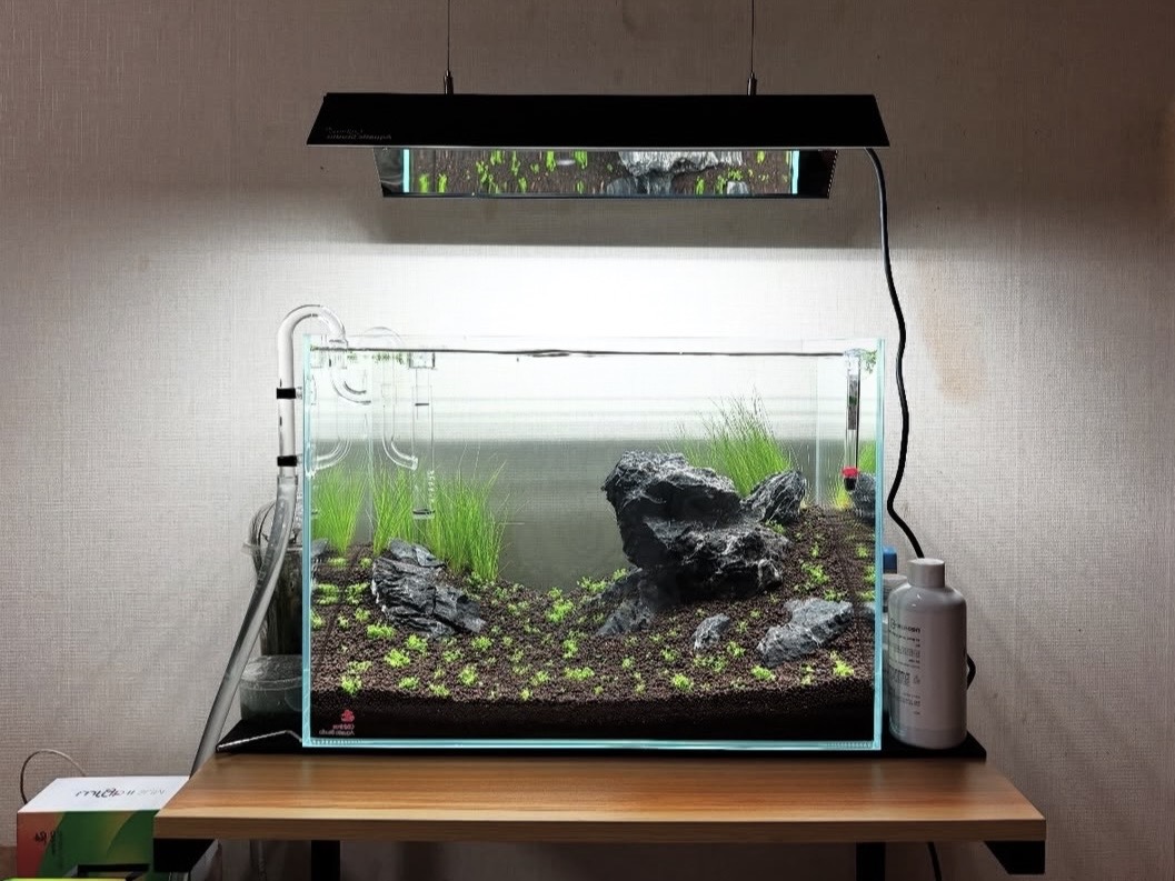 Založenie akvária – kompletný sprievodca pre začiatočníkov