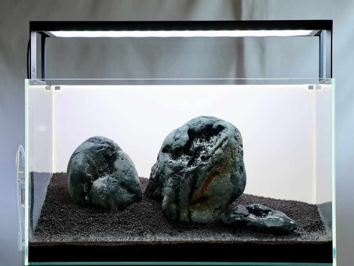 Ako založiť akvárium krok za krokom