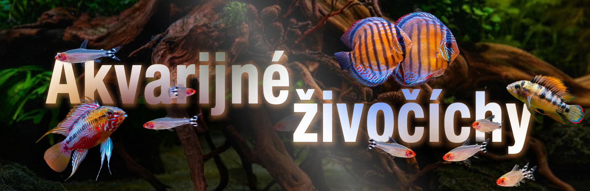 Akvarijné živočíchy