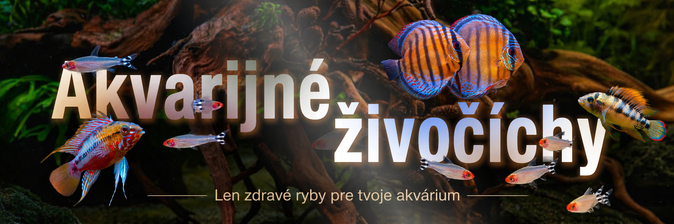 Akvarijné živočíchy