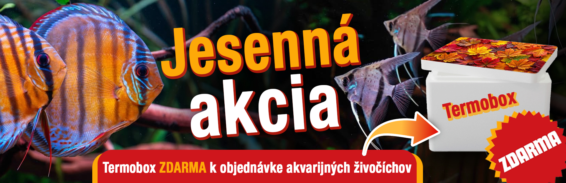 jarná akcia