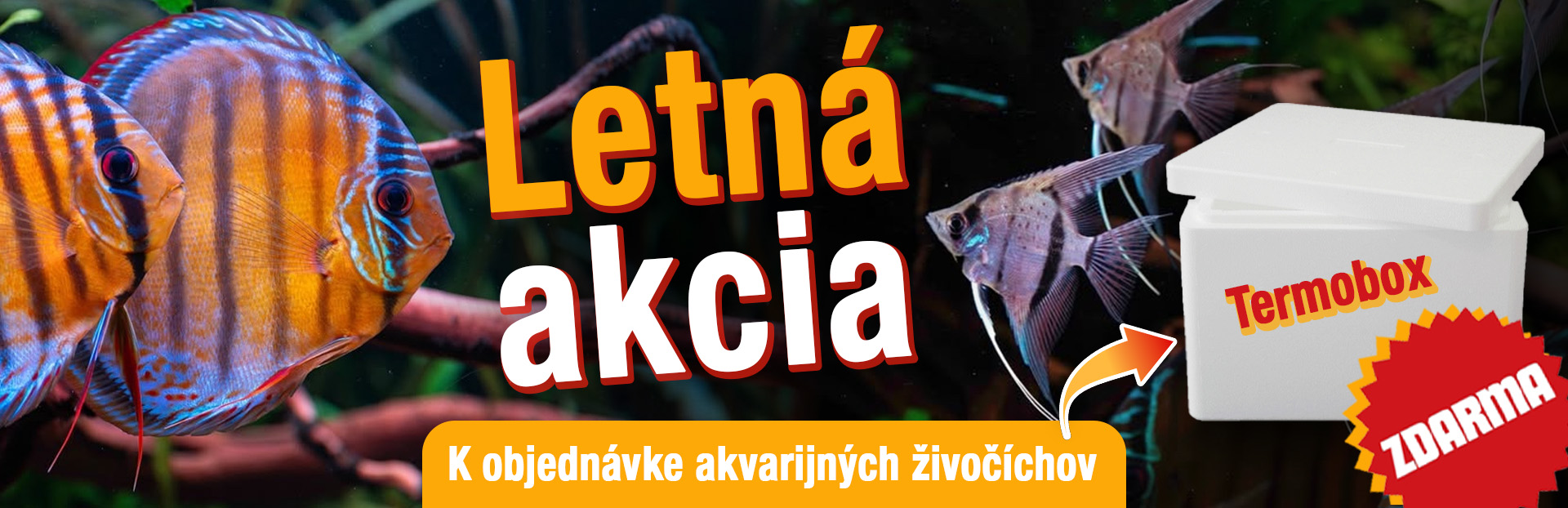 jarná akcia